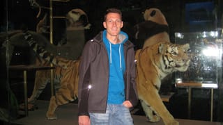 Tiger im Natural History Museum
