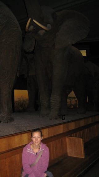 Elefanten und Christin im Natural History Museum