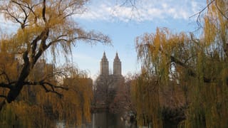 Hochhaeuser vom Central Park aus
