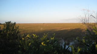 Ausblick in die Suempfe