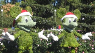 Baumkunst in Disneyworld