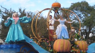Cinderella in Disneyworld