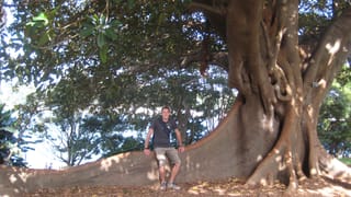 Wurzelbank im Botanischen Garten