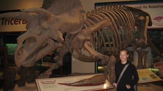 Dino-Skelett im Natural History Museum