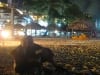 Abends mit Bier am Strand