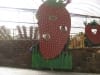 Wir auf der Big Strawberry Farm