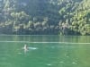 Erk im Schwangeren-Jungfrauen-See