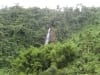 Dschungel und Wasserfall