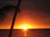 Sonnenuntergang in der Mango Bay