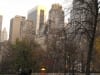Central Park
