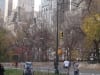Central Park