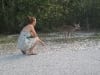 Ein kleines Key Deer