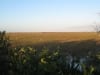 Ausblick in die Suempfe