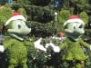 Baumkunst in Disneyworld
