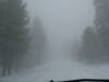 Vom Schnee ueberrascht