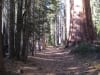 Yosemite National Park