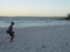 Quietsche-Sand-Strand Greenfields Beach in der Jervis Bay